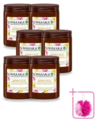 Produktbild von 6 x Botanica by Air Wick Geurkaars Vanille & Magnolia - Sparpackung - 6 Stücke