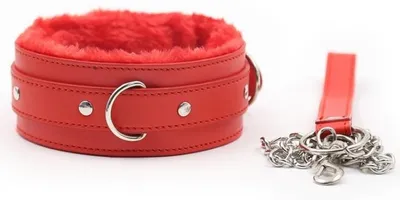 Imagen del producto de Collar y correa rojos para perros