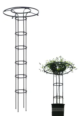 Produktbild von Rostfreie Rankgitter für Kletterpflanzen