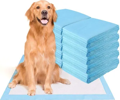 Produktbild von Trainingsunterlagen für Haustier, Hunde Welpen Hygieneunterlagen, Toilettenmatten Saugfähige Welpen-Training Pads, Hundeklo Hundepads (150 Stück/ 60x90cm)