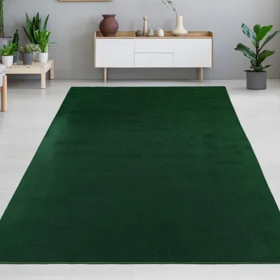 Obrázek produktu pro Moderní koberec zelený sametově měkký, snadno udržovatelný, ideální pro stylové obývací pokoje Velikost - 160 x 220 cm