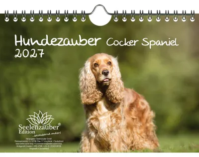 Produktbild von Hundezauber Cocker Spaniel DIN A5 Kalender für 2027 Welpen und Hunde - Seelenzauber