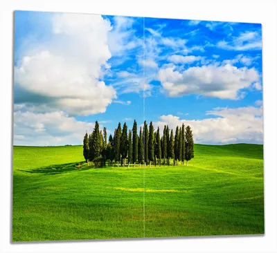 Produktbild von Wallario Herdabdeckplatte aus Glas, Größe 60 x 52 cm 2-teilig, Motiv Kleiner Wald inmitten einer weiten Wiese