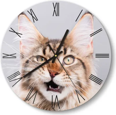 Produktbild von DEQORI Glasuhr Ø30 cm Römisch 'Maine Coon Katze faucht' Wanduhr Glas Uhr Design leise