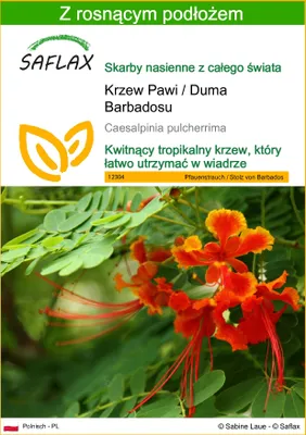 Zdjęcie produktu dla SAFLAX - Krzew Pawi / Duma Barbadosu - 10 Nasiona - Z podłożem uprawowym wolnym od zarazków - Caesalpinia pulcherrima