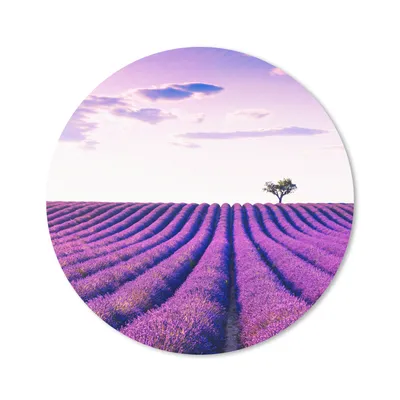 Produktbild von MuchoWow® Mauspad Mousepad Lavendel - Bäume - Lila - Blumen 50x50 cm - Mousepads - Maus Mat - Pad - Mausunterlage - Vinyl