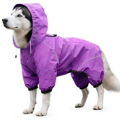 Imagen del producto de Chaqueta impermeable para perros con capucha