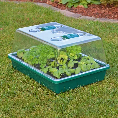 Produktbild von HI Mini-Gewächshaus 38x24,5x18 cm Transparent
