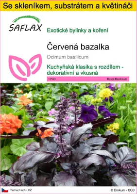 Obrázek produktu pro SAFLAX Kultivační sada - Červená bazalka - Ocimum basilicum - 200 Semena - S mini skleníkem, pěstebním substrátem a 2 květináči
