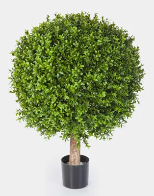 Produktbild von artplants.de Künstliche Buchskugel Tom auf Stamm, 2380 Blätter, 75cm, Ø 60cm - Künstlicher Buchsbaum Buxkugel Buchsbaumkugel