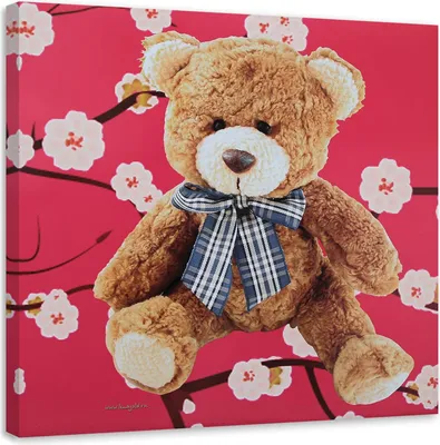 Obrázok produktu pre Obraz na plátne plyš na ružovom pozadí 30x30 cm Feeby farebné maľba na stenu pripravené na zavesenie