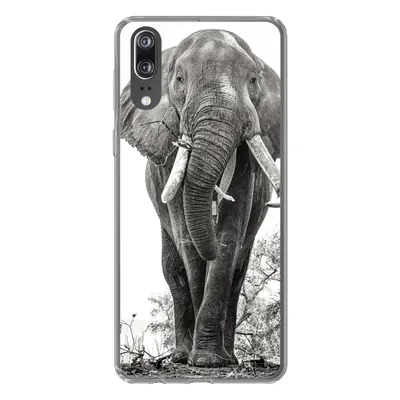 Produktbild von MuchoWow® Handyhülle Schutzhülle Hülle für Huawei P20 Elefant - Porträt - Tiere - Schwarz und weiß Silikon Softcase Handy Hülle - Hardcover
