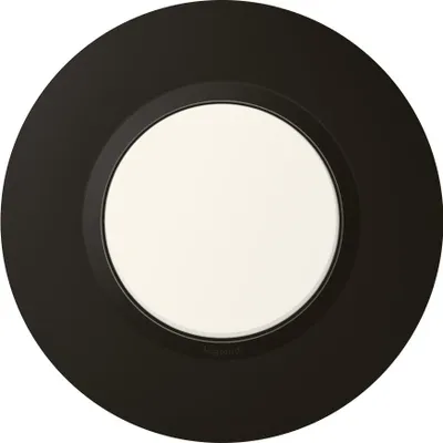 Immagine prodotto di Legrand 600976, 1 pezzo
