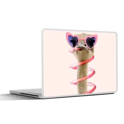 Produktbild von MuchoWow® Laptop Aufkleber Sticker Cover Strauß - Sonnenbrille - Rosa - Tiere 30x22 cm - Laptop-Sticker