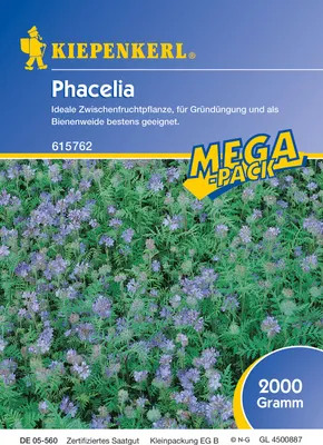 Artikelbild 1 von 'Phacelia (2 kg)' aus der Kategorie Phaceliasamen