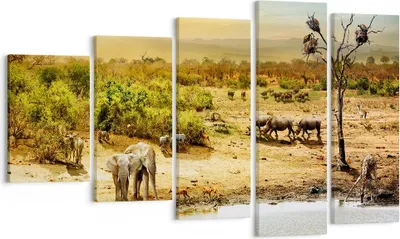 Produktbild von Bild auf Leinwand - Leinwandbild - Safari Tiere - 100x60cm - Wand Bild - Wanddeko - Wandbilder - Leinwanddruck - Bilder - Kunstdruck - Wanddekoration - Leinwand bilder - Wandkunst - EG100x60-3880