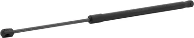 Produktbild von RIDEX 219G1076 Gasfeder Heckklappendämpfer für SUZUKI SWIFT V (AZ) 537,5mm