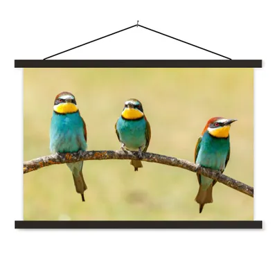 Produktbild von MuchoWow® Textilposter Vögel - Tiere - Bienenfresser 60x40 cm mit schwarzem Rahmen - Hölzernes