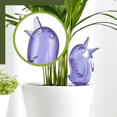 Produktbild von Scheurich Wasserspender Bördy S | 16 x Lila | 90ml Füllmenge | Bewässerungskugel klein mit Ton Fuß | Wasserspender Pflanzen und Blumen Terrakotta Stiel