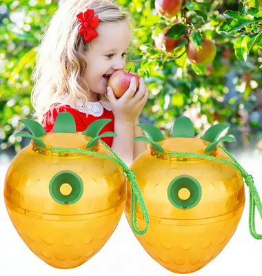 Produktbild von Fruchtfliegenfänger – 2 Stück – Effektive Fruchtfliegenfalle – Umweltfreundliche Insektenfalle – Hornissenfalle – Wespenfalle – Fruchtfliegenfalle