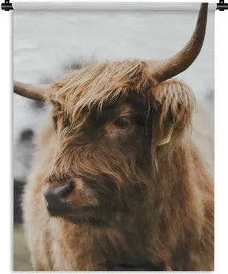 Produktbild von MuchoWow® Wandteppich Wandbehang Schottischer Highlander - Tiere - Hörner 60x80 cm Tapisserie Dekoration Wandtuch - Decke - Wandtücher - Wohne