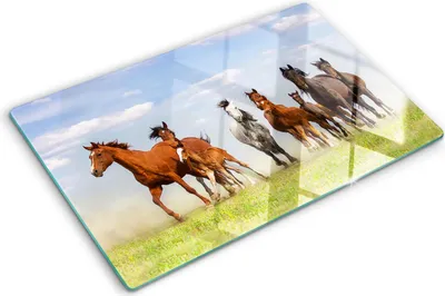 Produktbild von Tulup Glas Herdabdeckplatte - 80x52 cm - Glaskeramikkochfeld-Abdeckung Spritzschutz Glasabdeckplatte - Einteilig - Tiere - Pferde im Galopp - Braun