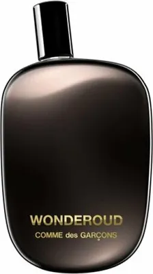 Produktbild von Comme des Garçons Wonderoud EdP 100ml NEU &