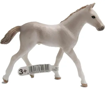Immagine prodotto di Schleich - Puledro di razza Holsteiner