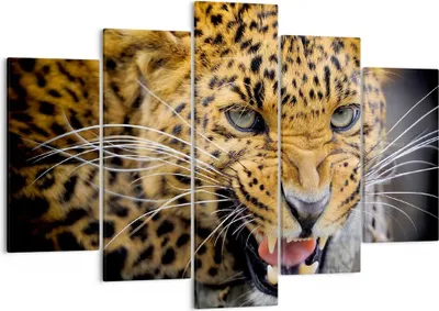 Produktbild von Bild auf Leinwand - Leinwandbild - Leopard tier savanne afrika - 150x100cm - Wand Bild - Wanddeko - Leinwanddruck - Bilder - Kunstdruck - Wanddekoration - Leinwand bilder - Wandkunst - EA150x100-2728
