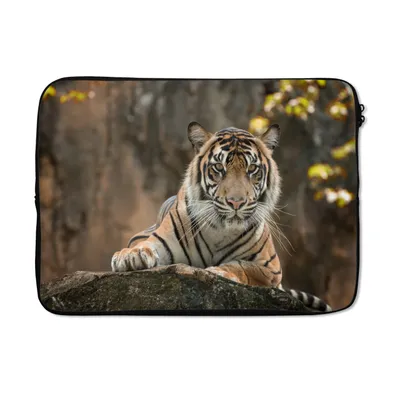Produktbild von MuchoWow® Laptop Hülle 13 Zoll Tiger - Felsen - Blätter Laptoptasche - Laptophülle - Sleeve - Rundumschutz