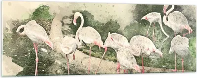 Produktbild von Bilder auf glas - Flamingo Vogel Wasser - 90x30cm - Glasbilder - Wandbilder - Kunstdruck - zum Aufhängen bereit - Wanddekoration aus Glas - Glas Bilder - Wandbild auf Glas - Einteilig - GAB90x30-3462