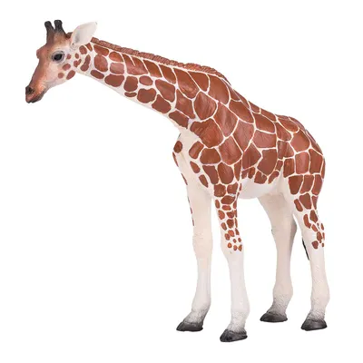 Image de Animal Planet Figurine de jeu - Figurine de girafe femelle, Animal Planet 13,5 cm x 3,5 cm x 12 cm - peinte à la main et avec beaucoup de détails - de qualité et sûre