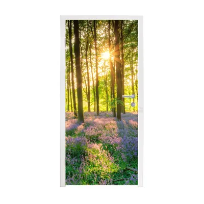 Obrázek produktu pro MuchoWow® Plakát na dveře - Jaro - Les - Slunce - 205x90 cm - Samolepicí fólie na dveře