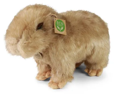 Immagine prodotto di Capibara di peluche 30 cm ECO-FRIENDLY