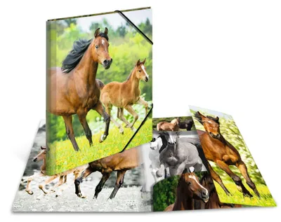 Image de Pochette HERMA A3 avec élastique « Chevaux »