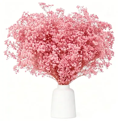 Getrocknete Blumen 43 cm, 3500+ rosa Schleierkraut-Zweige