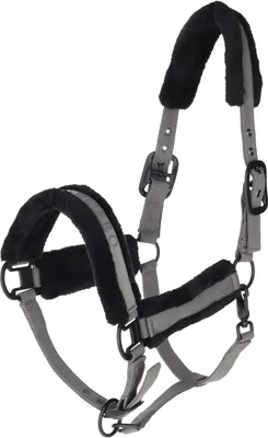 Image de Covalliero Halfter HW 2025 Stallhalfter Steel Grey Cob