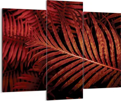 Produktbild von Bild auf Leinwand - Leinwandbild - 3 Teile - Rot Blätter Palmen - 130x100cm - Wand Bild - Wanddeko - Wandbilder - Leinwanddruck - Bilder - Wanddekoration - Leinwand bilder - Wandbild - CB130x100-4816