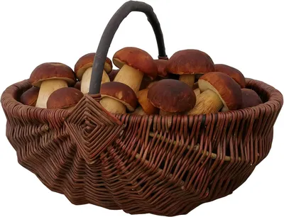 Produktbild von Einkaufskorb Autokorb Gemüsekorb Kartoffelkorb Erntekorb WEIDENKORB Pilzkorb Blumenkorb Gartenkorb Deko Tragekorb