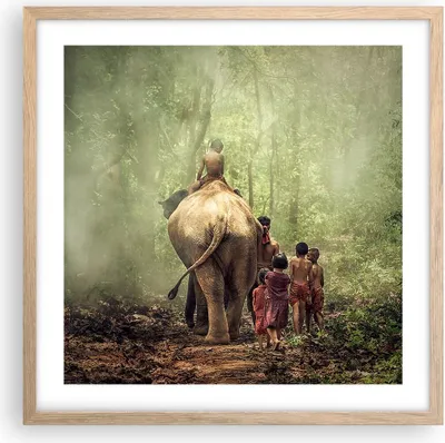 Produktbild von Gerahmtes Poster - Rahmen in heller Eiche - Elefant Dschungel Nebel - 50x50 cm - Wand Bild - Wanddeko - Wandbilder - Wandposter - Bilderrahmen - Bilder - Kunstdruck - Wandbild - P2NAC50x50-3438