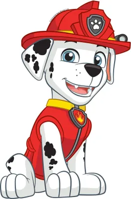 Immagine prodotto di Sanders & Sanders PAW Patrol tatuaggio da parete rosso e bianco e nero - 601415 - 8,5 x 15 cm