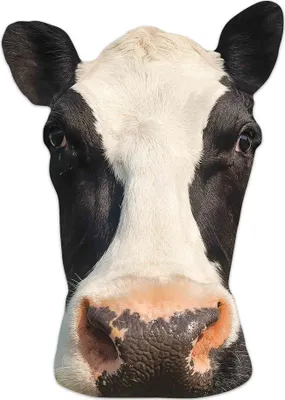 Image de Masque d'animal - Masques - Cow