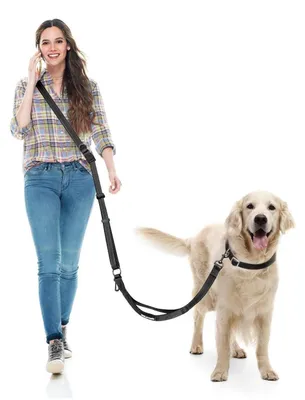 Produktbild von Freihand-Hundeleine Joggingleine Schwarz Verstellbar 1.8-2.9 m