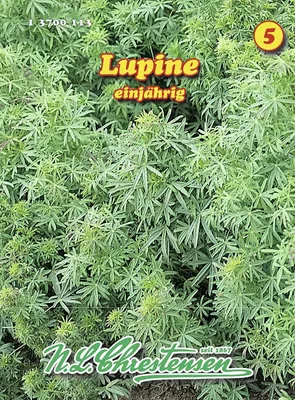 Produktbild von Lupine | Lupinensamen von N.L. Chrestensen