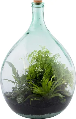 Produktbild von Esschert Design AGG50, 1 Stück(e)