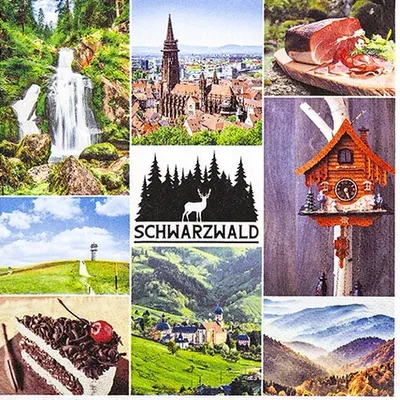 Produktbild von Servietten 33x33 cm - Schwarzwald