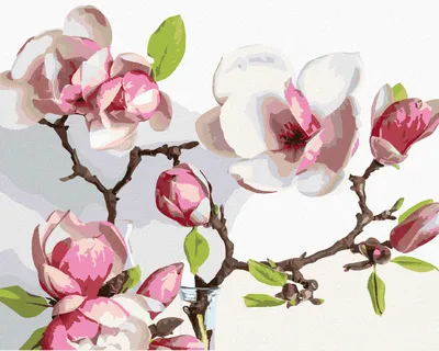 Produktbild von Zuty - Malen nach Zahlen - FRÜHLINGSBLÜHENDE MAGNOLIE, 40x50 cm, mit Keilrahmen (bereits gespannt)