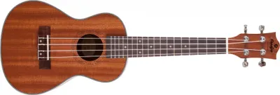 Image de Guitares Prodipe BC2