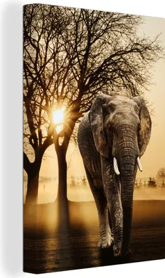 Produktbild von MuchoWow® - Leinwandbilder - Elefant - Baum - Sonne, Wandbild, Wanddeko Bilder Wohnzimmer, 40x60 cm