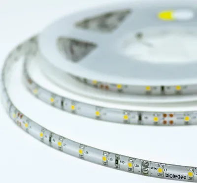 Produktbild von Bioledex LED Streifen 24V 5W/m 60LED/m 6500K IP65 5m Rolle tageslichtweiss SMD Stripe
